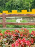 香巴拉民宿（張家界國家森林公園西門店） 金鞭溪峽谷附近的飯店