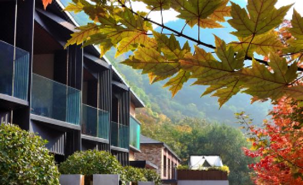 Shuiyunxiang Homestay