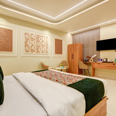 Hotel Aero Homestay near IGI Airport