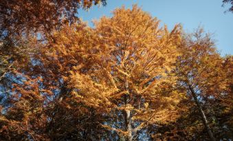 Jian Wu Xiang · Lai Man Resort Hotel (South Anhui Sichuan-zang line ink Tingxi shop)