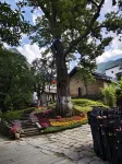 Shitai Yuansheng Suji Homestay - Mountain view