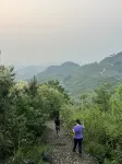 得舍小院 - 山景