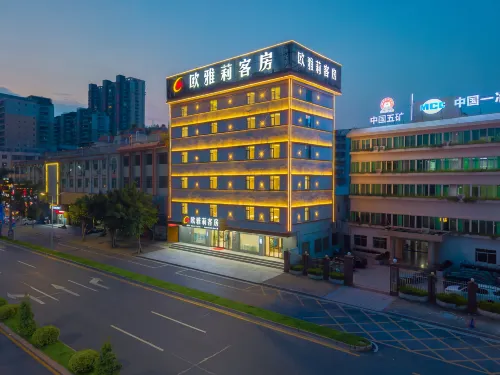 Ouyali Hotel (Jieyang Luqian Night Market) - WiFi