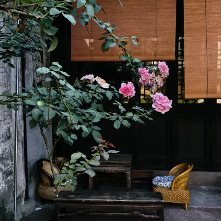 Chunli Tea Courtyard (Dongqian Lake)