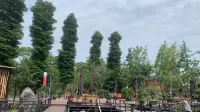 Qixi Yayuan B&B Các khách sạn gần Sichuan Tianquan Labahe Natural Zone