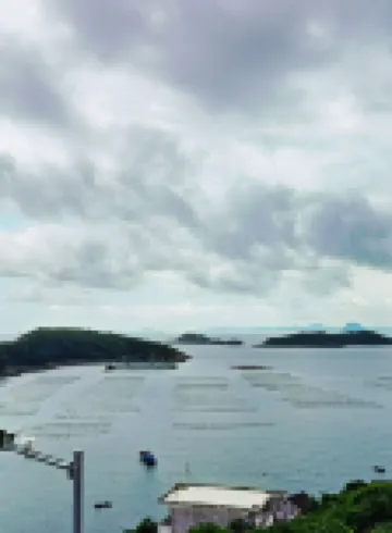 Taizhou Dachen Island Wanghaiyunjuhotel