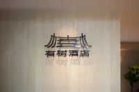 有樹飯店（四川大學店） 合江亭/九眼橋附近地區住宿飯店