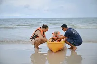 Occidental Bangtao Beach Resort - pantai