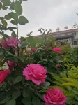 Garden Hotel (Hope Road) - breakfast