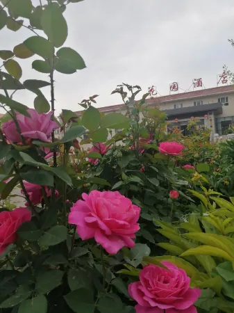 Garden Hotel (Hope Road) Отели в г. Шавань