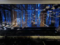 METEORLAND Hotel (Binhe Road, Sangzhuzi District, Shigatse) - spa