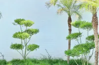 Wheatfield Watch House