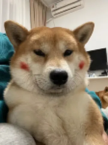 Sunrise image日出映像·平潭海景民宿