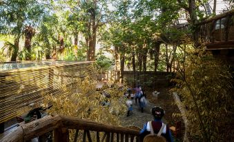 Deep Green · Catalpa Forest Oxygen Bar · Luxury Tree House in the Wild
