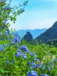 TANGYUE HOTEL Hotels in Zhaoping