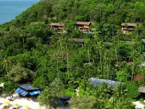 Popular Premium Hotels in Phi Phi Islands