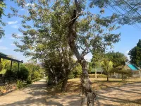 Pai Hillside Resort