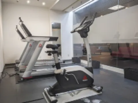 ART HOTEL Narita Tokyo otelleri