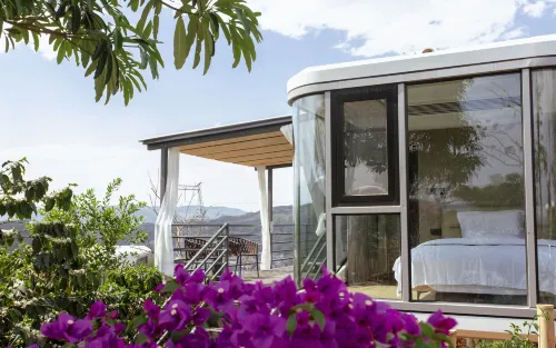 普洱天玉莊咖啡園