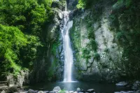 夜泊君亭飯店（寧波溪口蔣氏故居店） - 山景