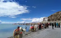 Dangxiong dangxiu oxygen enriched Hotel Hotels in Damxung