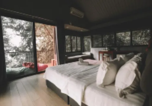 パーマイ・レインフォレスト・リゾート ダマイ・ビーチ周辺のホテル