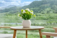 양숴 진루이쉬안 홈스테이 (양숴 기차역) 양숴/양삭 주변 호텔