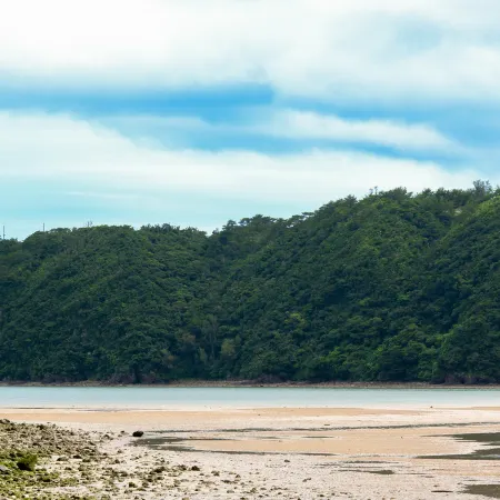 CORAL ISLAND