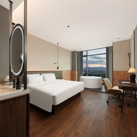 Radisson Sega Hotel (Dongyang Wood Carving Town Baolong Plaza)
