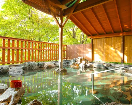 大江戸温泉物語 ホテル鬼怒川御苑 日光のホテル