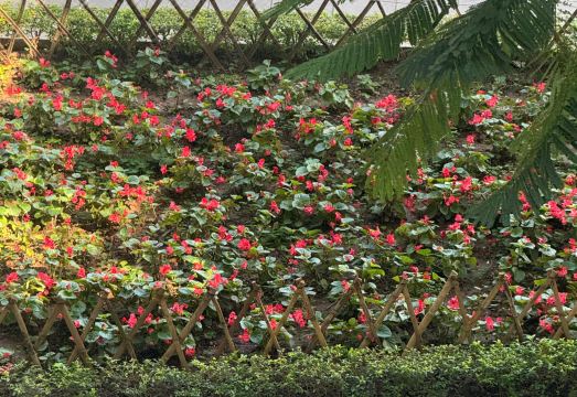 선 웨스트레이크 뷰 홈스테이 발코니 뷰