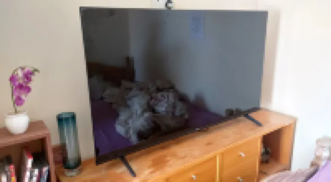 Phoenix Nights Guest House Các khách sạn ở 