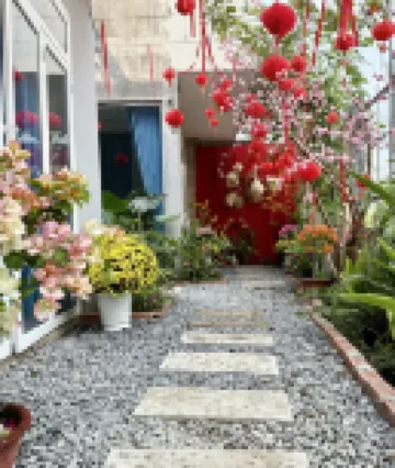 T HOMESTAY BINH MINH XANH Hotels in 