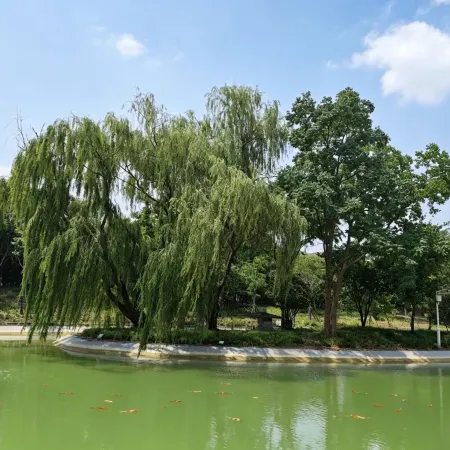 Xinxiang Jianguo HIDDEN Garden-Style Hotel