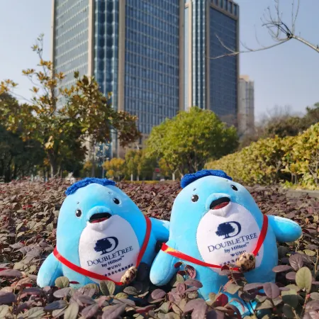 DoubleTree by Hilton Wuhu