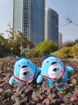 DoubleTree by Hilton Wuhu - Romantic