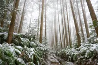 SEN.RETREAT TAKAHARA -  Holiday Villas