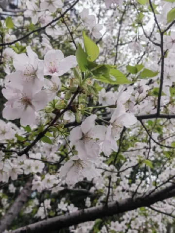 Atour Hotel Shanghai Minhang Industrial Park Xung quanh Photos