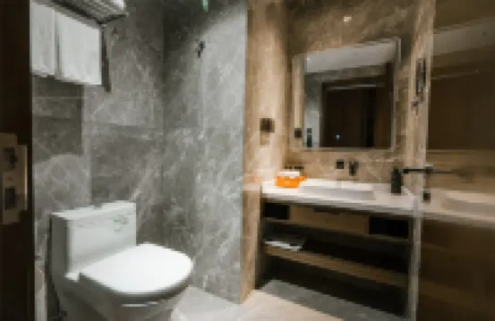 常州文雋コレクションホテル（環球恐龍城万達広場）