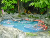 Dianchi Garden Resort Hotel & Spa - con terme
