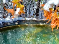Crowne Plaza RESORT CHANGBAISHAN HOT SPRING by IHG Hotels in Antu