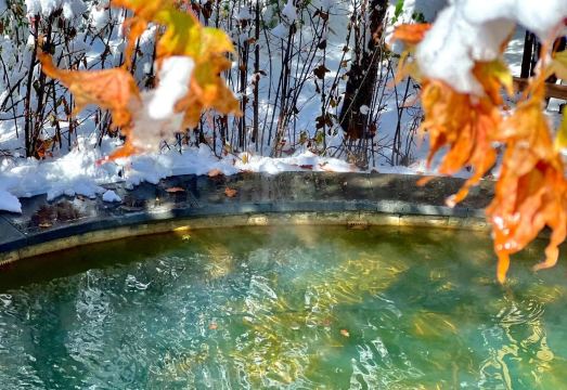 Crowne Plaza Resort Changbaishan Hot Spring Hotel Overview