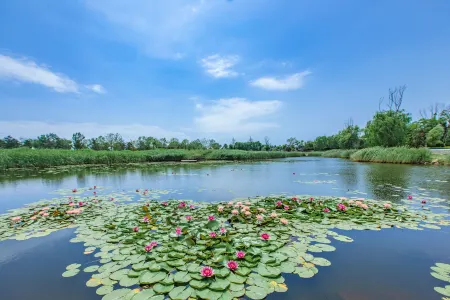 YuanYang Seatopia Xixi Parent-child hotel Отели рядом с достопримечательностью «Hebei Institute of International Business and Economics - Comprehensive Building»