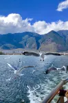 幸福回家ホテル(大理高速鉄道駅洱海公園）