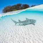 Oceana Inn Maldives - parking