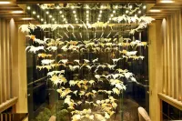 BluSalzz Residence Amritsar