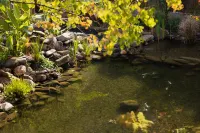 汀上·梧山居（景德鎮御窯景巷店） 鄰近御窯景巷的酒店