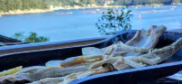 Ha-Wahyeon HOUSE: Great location, views and vibe! - Aamiainen