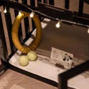 ไวเออร์สลี่ เหม่ยซีหู