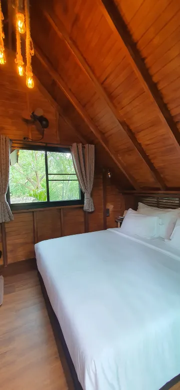 บ้านนก บ้านต้นไม้